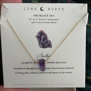 Luna norte amethyst necklace